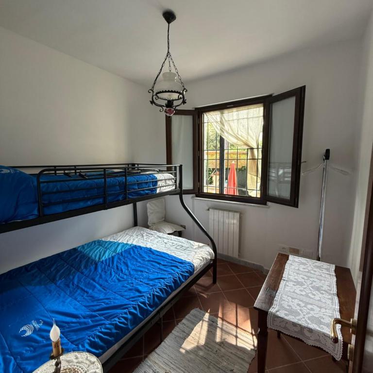 Casolare De Ranieri - appartamento in villa bifamiliare a 500m dal mare - Apartamento de 2 dormitorios - 8