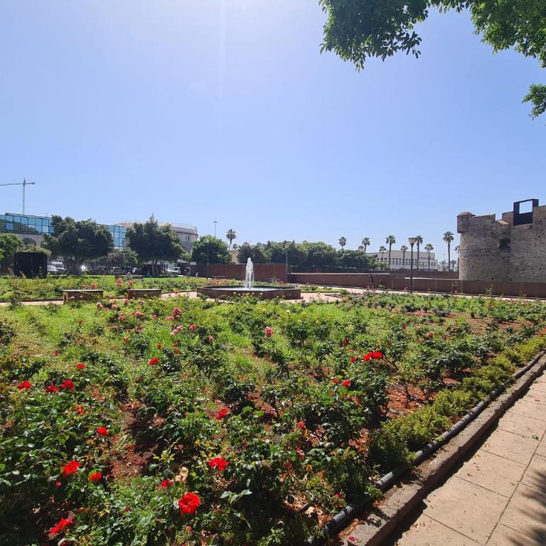 castlerock vista mar - Apartamento con balcón - 34