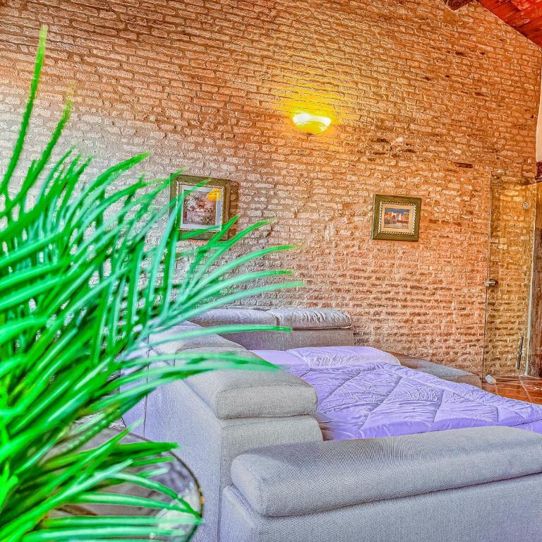Domus Art Experience Art in the Center of Ferrara - Appartamento con 2 Camere da Letto - 14