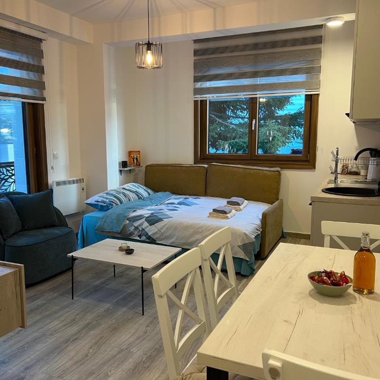 Vila Elena - Apartman s 1 Spavaćom Sobom i Terasom - 13