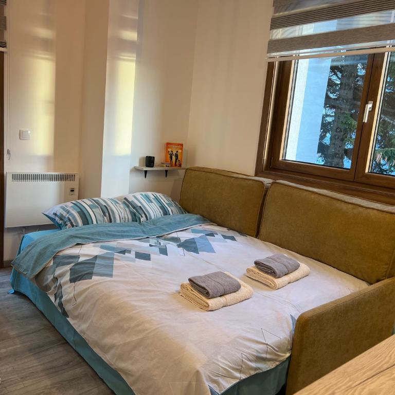 Vila Elena - Apartman s 1 Spavaćom Sobom i Terasom - 2