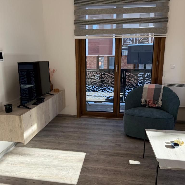 Vila Elena - Apartman s 1 Spavaćom Sobom i Terasom - 8