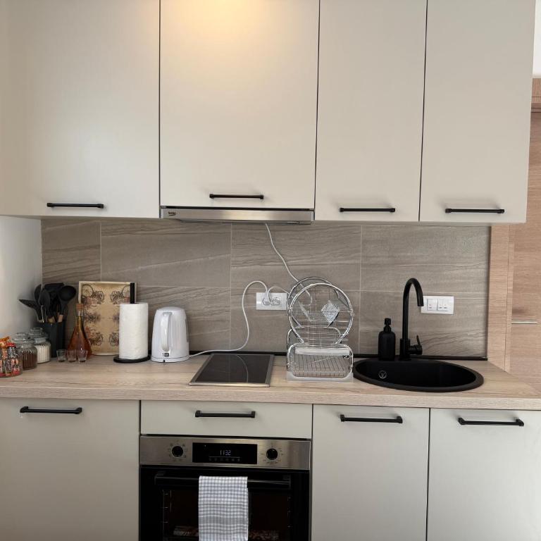 Vila Elena - Apartman s 1 Spavaćom Sobom i Terasom - 15