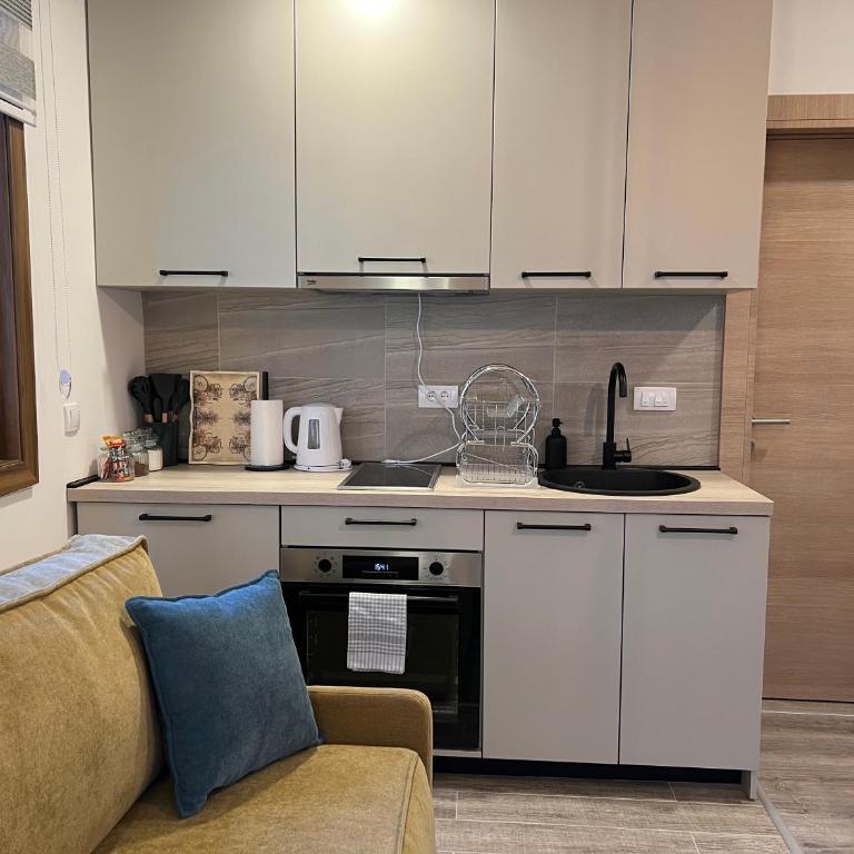 Vila Elena - Apartman s 1 Spavaćom Sobom i Terasom - 12