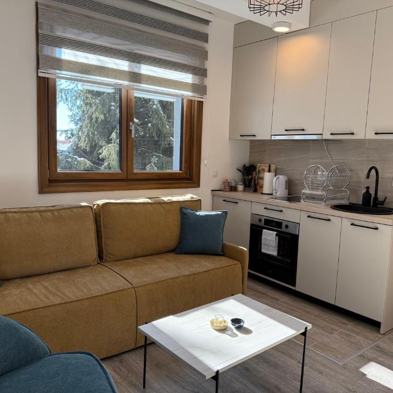 Vila Elena - Apartman s 1 Spavaćom Sobom i Terasom - 4