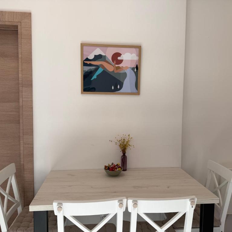 Vila Elena - Apartman s 1 Spavaćom Sobom i Terasom - 5
