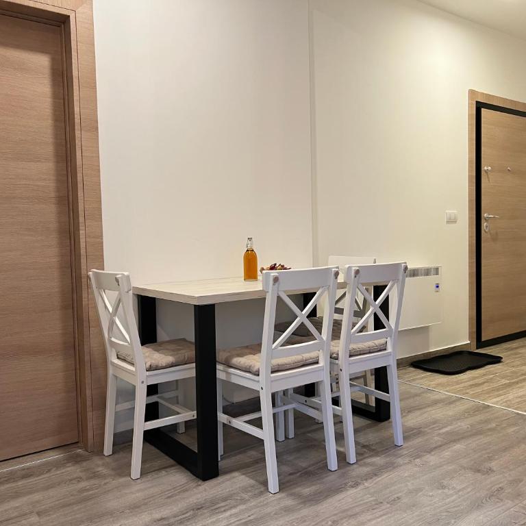 Vila Elena - Apartman s 1 Spavaćom Sobom i Terasom - 16