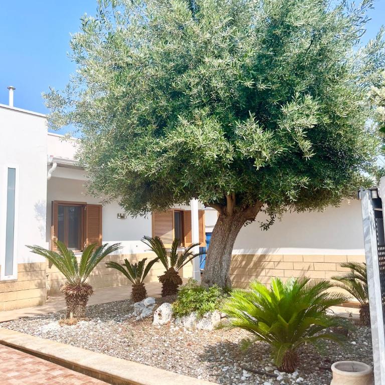 Polignano Villa with Jacuzzi, Garden & Parking - Villa Deluxe - 5