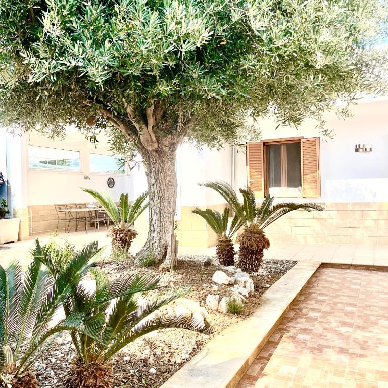 Polignano Villa with Jacuzzi, Garden & Parking - Villa Deluxe - 19