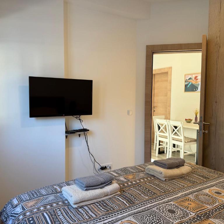 Vila Elena - Apartman s 1 Spavaćom Sobom i Terasom - 7