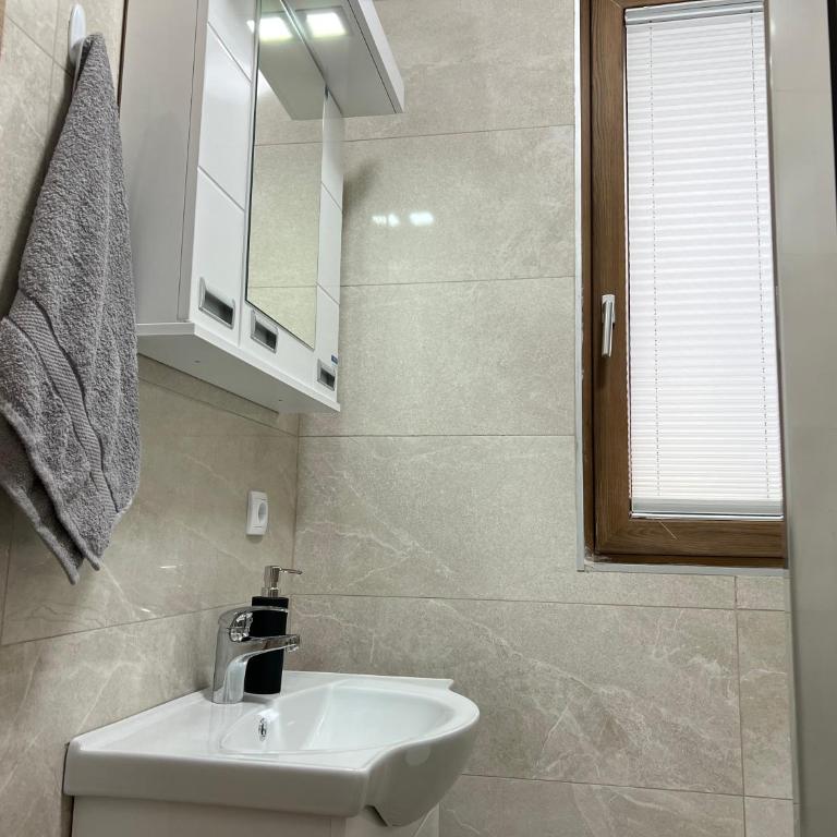Vila Elena - Apartman s 1 Spavaćom Sobom i Terasom - 10