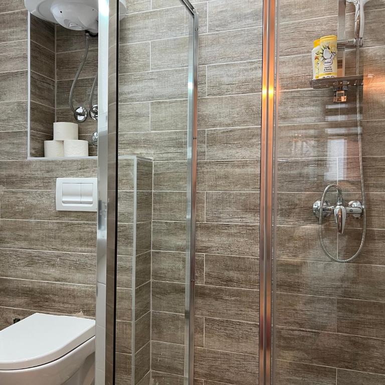 Vila Elena - Apartman s 1 Spavaćom Sobom i Terasom - 9