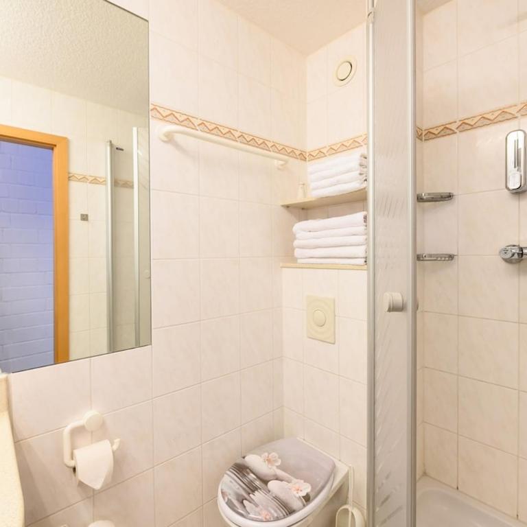 Blue Wellness Pools Saunas Appartement with Alpine view Balcony - Appartamento con 1 Camera da Letto - 8