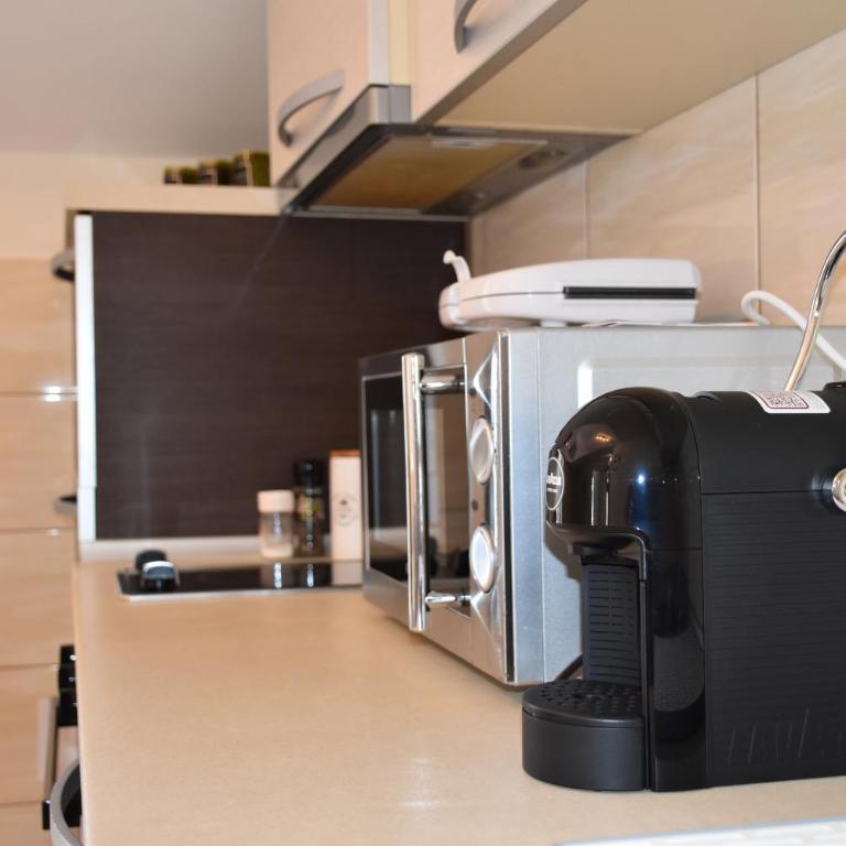 Mirkovic Apartments - Apartman sa 1 Spavaćom Sobom - 5