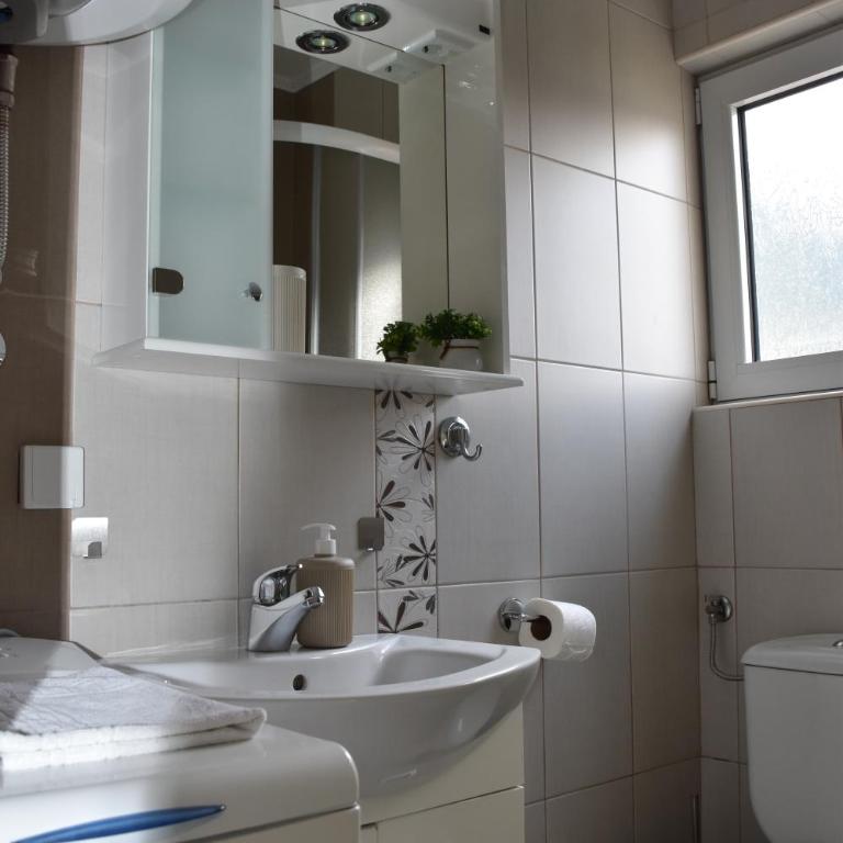 Mirkovic Apartments - Apartman sa 1 Spavaćom Sobom - 10