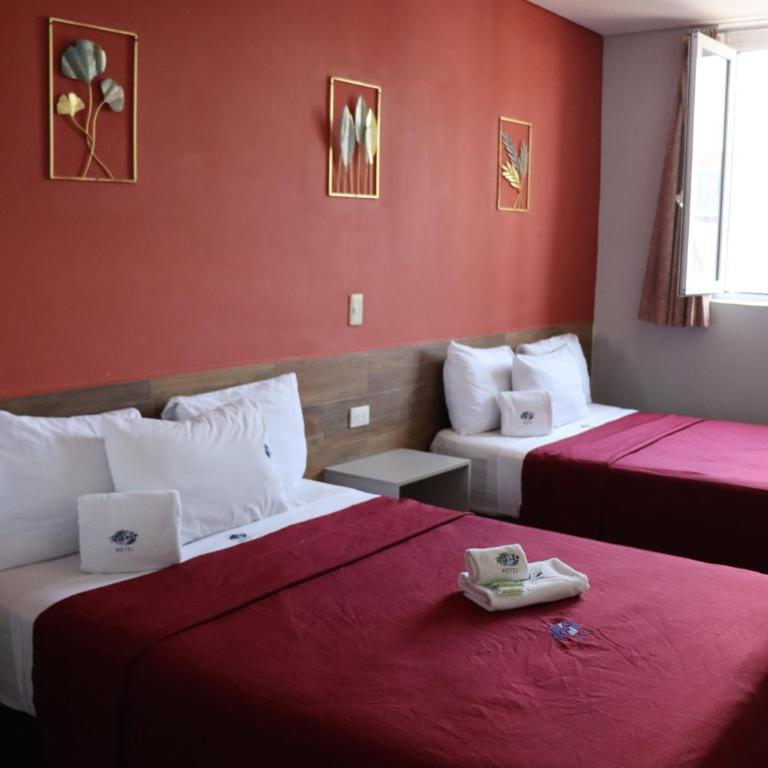 Hotel Teresita - Habitación Doble - 2 camas dobles - 15