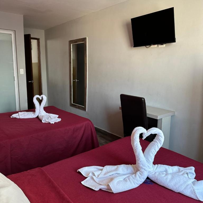 Hotel Teresita - Habitación Doble - 2 camas dobles - 27