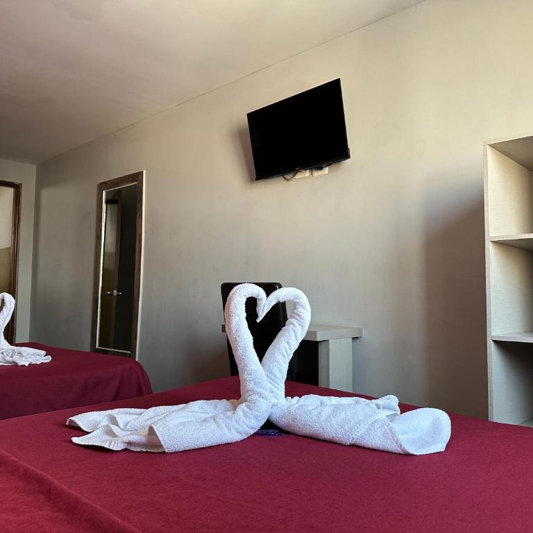 Hotel Teresita - Habitación Doble - 2 camas dobles - 29