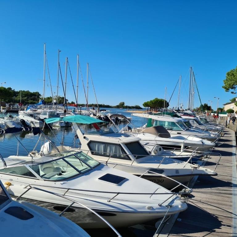 Résidence fermée Grande terrasse ombragée Piscine Plage Port Parc Gare - Appartement 1 Chambre - 29
