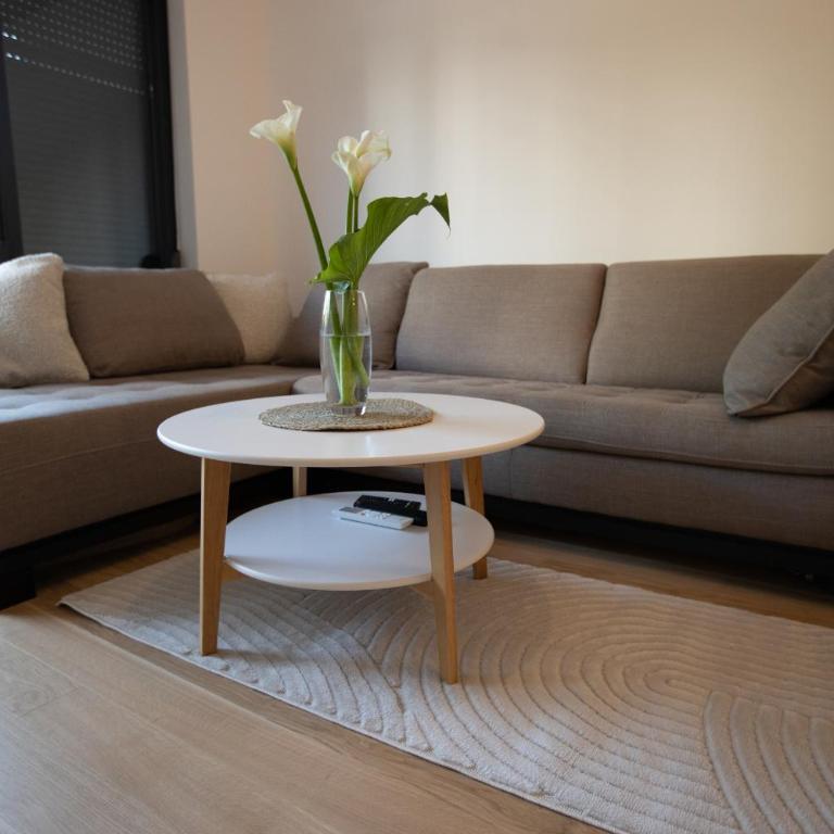 Apartman Superior Centar - Apartman sa 1 Spavaćom Sobom - 6