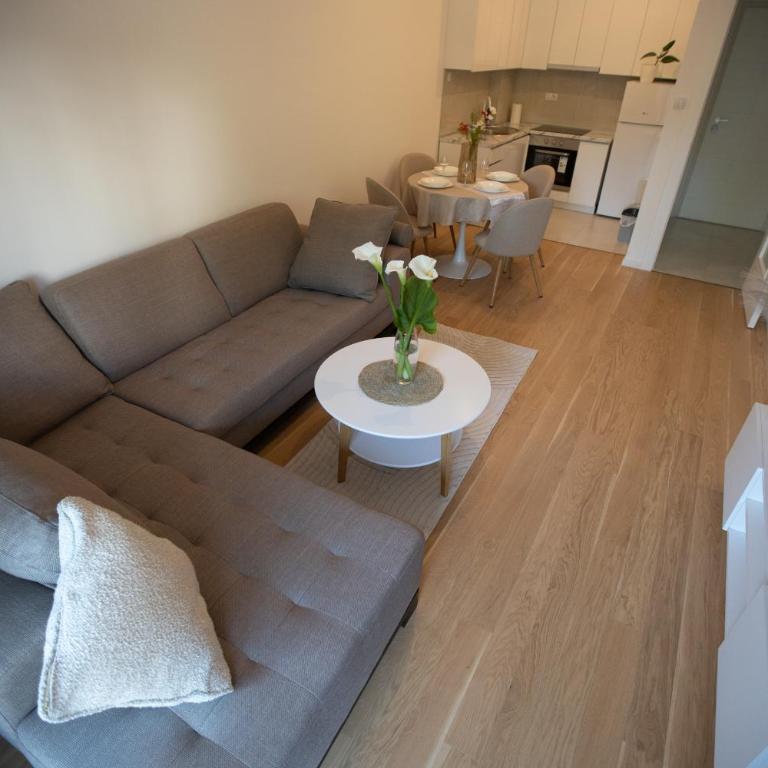Apartman Superior Centar - Apartman sa 1 Spavaćom Sobom - 3