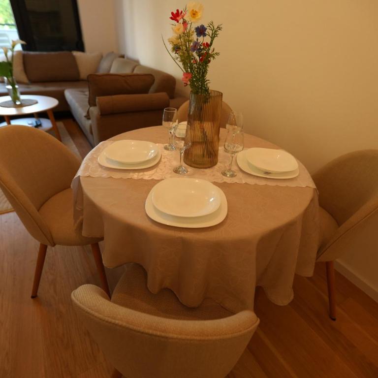 Apartman Superior Centar - Apartman sa 1 Spavaćom Sobom - 19