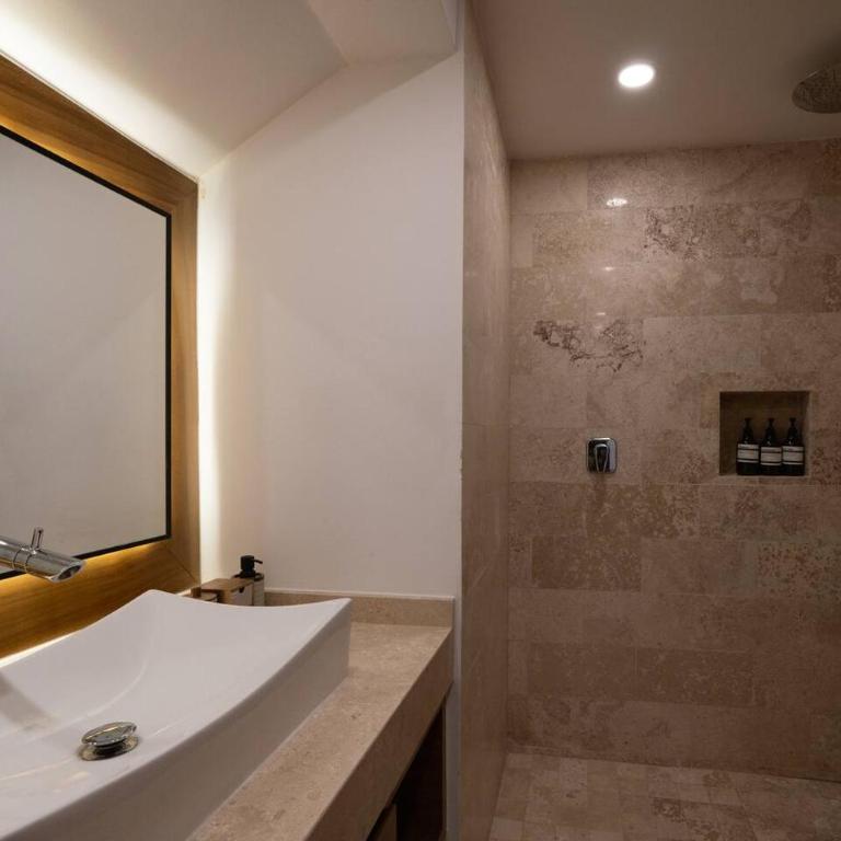 Selva Alta Penthouse Private Rooftop - Habitación Doble Deluxe con acceso a la piscina - 1 o 2 camas - 43