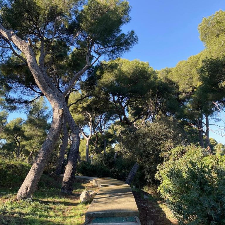 Maison Californienne avec piscine proche de la mer - Villa - 20