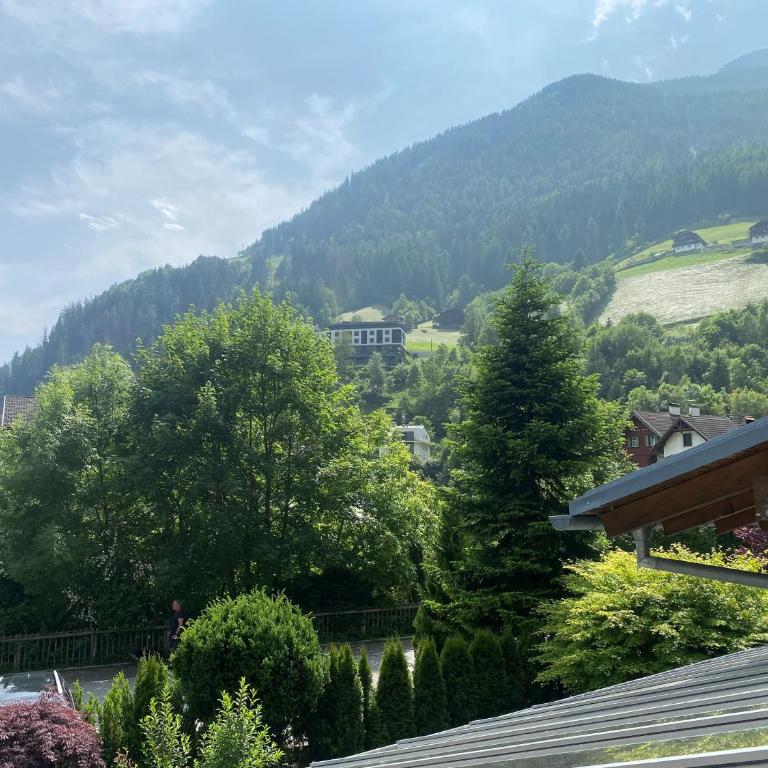 Residenz Feldmühle unterhalb der Burg Taufers - Apartamento de 1 dormitorio - 14