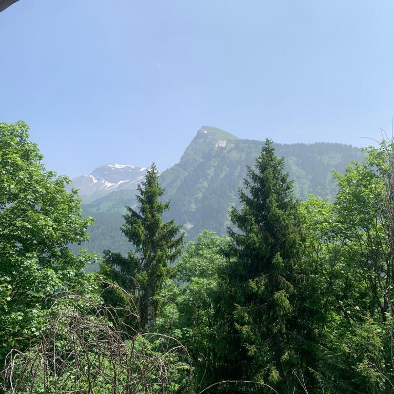 Mazot Hirondelle - Chalet de 3 dormitorios - 28