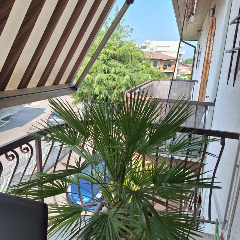 MiNi Paradise - One-Bedroom Apartment - 10
