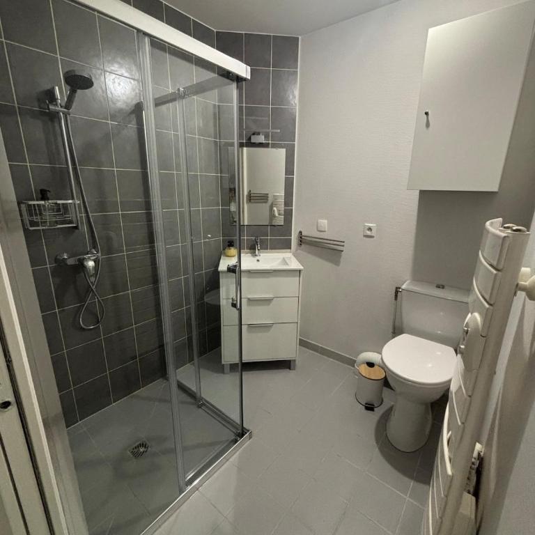 Échappée Dijonnaise - studio cosy au cœur du centre ville - One-Bedroom Apartment - 6