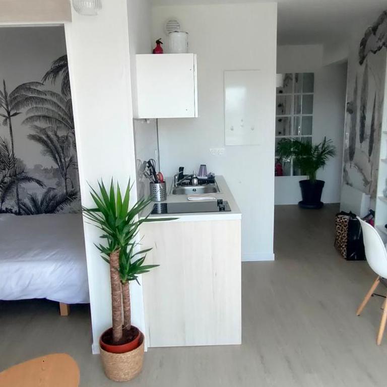 Appartement Le doux Viking, balcon & parking privé proche Zénith Caen - Appartamento con 1 Camera da Letto - 6