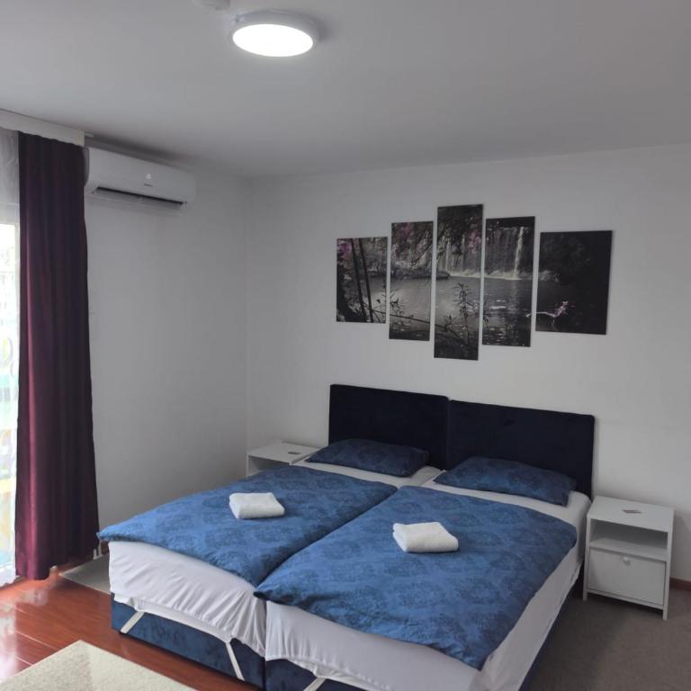 Amina Sarajevo Apartments - Apartman sa 3 Spavaće Sobe - 11