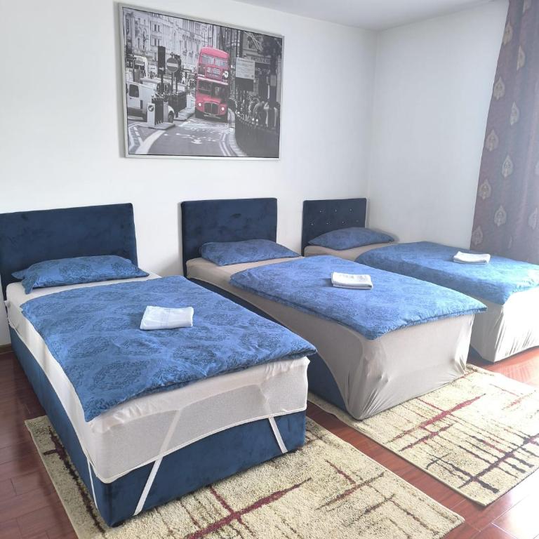 Amina Sarajevo Apartments - Apartman sa 3 Spavaće Sobe - 14