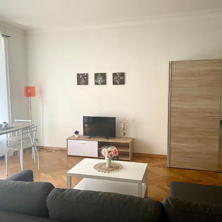 Fully Furnished down town- 5 minutes from Lausanne Train station - Apartment mit 1 Schlafzimmer - 3