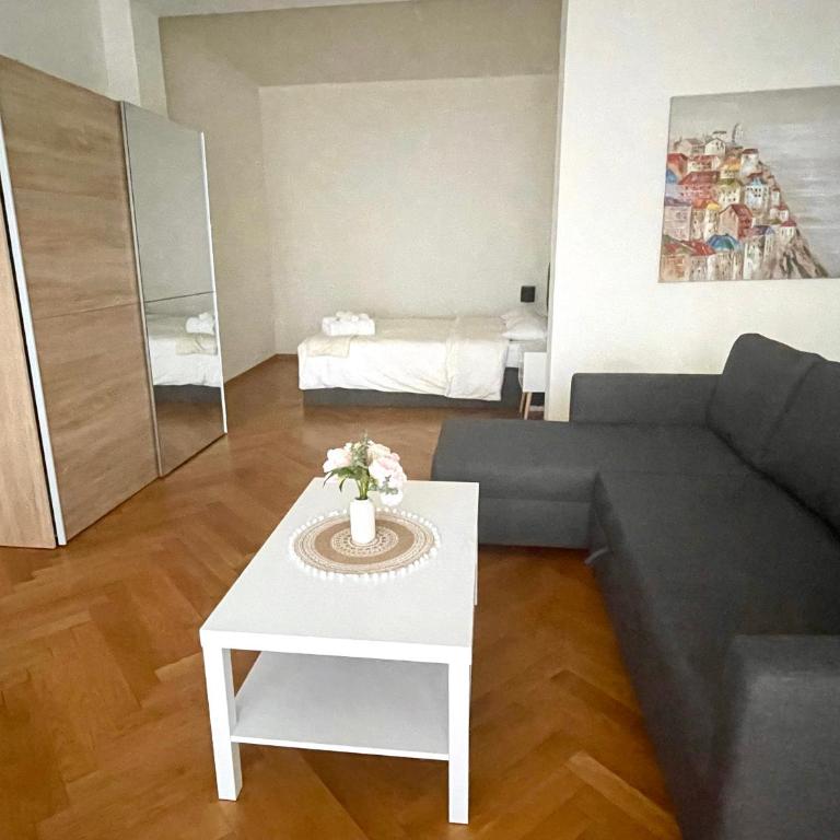 Fully Furnished down town- 5 minutes from Lausanne Train station - Apartment mit 1 Schlafzimmer - 4