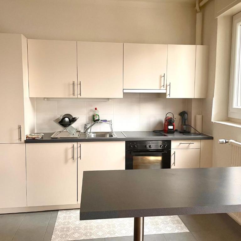 Fully Furnished down town- 5 minutes from Lausanne Train station - Apartment mit 1 Schlafzimmer - 8