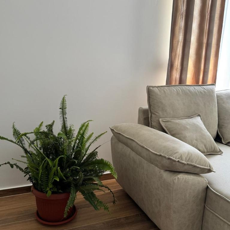 LazArina Apartments - One-Bedroom Apartment - 38