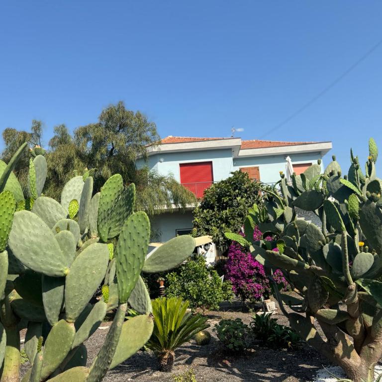 Green paradise with Etna view - Casa con 2 Camere da Letto - 28