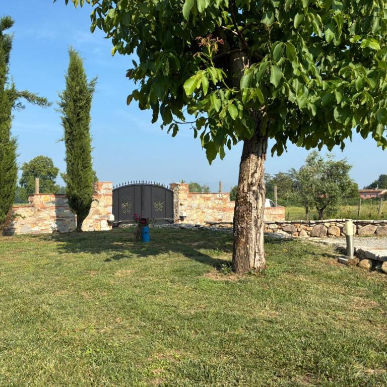 I SEI FILARI - Casa con 1 Camera da Letto - 32