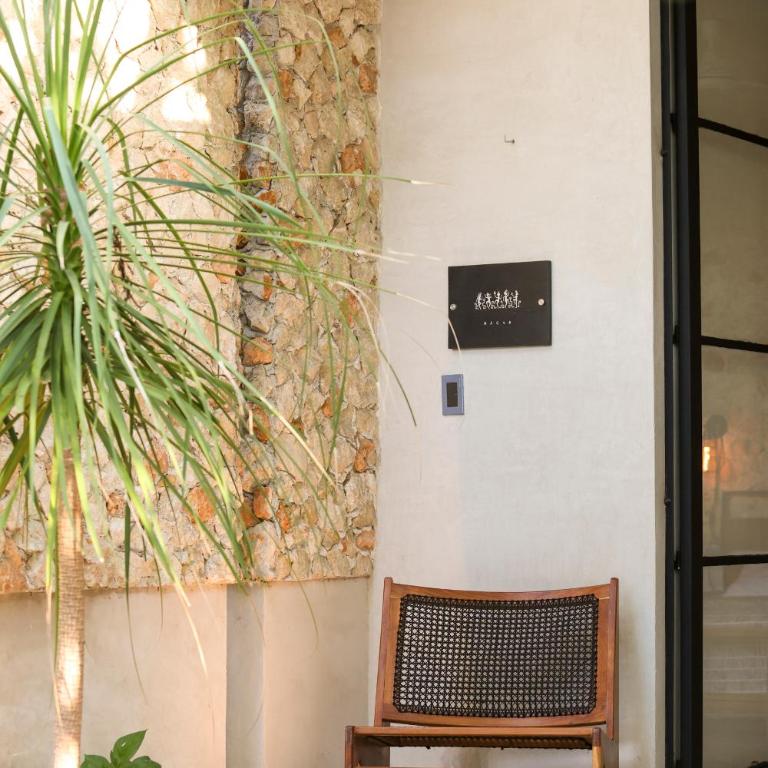 Exclusivo Oasis con Alberca en el Centro Histórico - One-Bedroom Apartment - 24