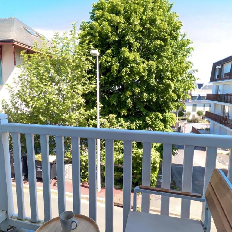 Il Nido 2, F2 hyper centre, parking et wifi - Apartment mit 1 Schlafzimmer - 14