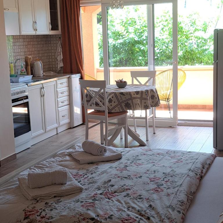 Apartmani Tanja - Apartman sa Terasom - 13