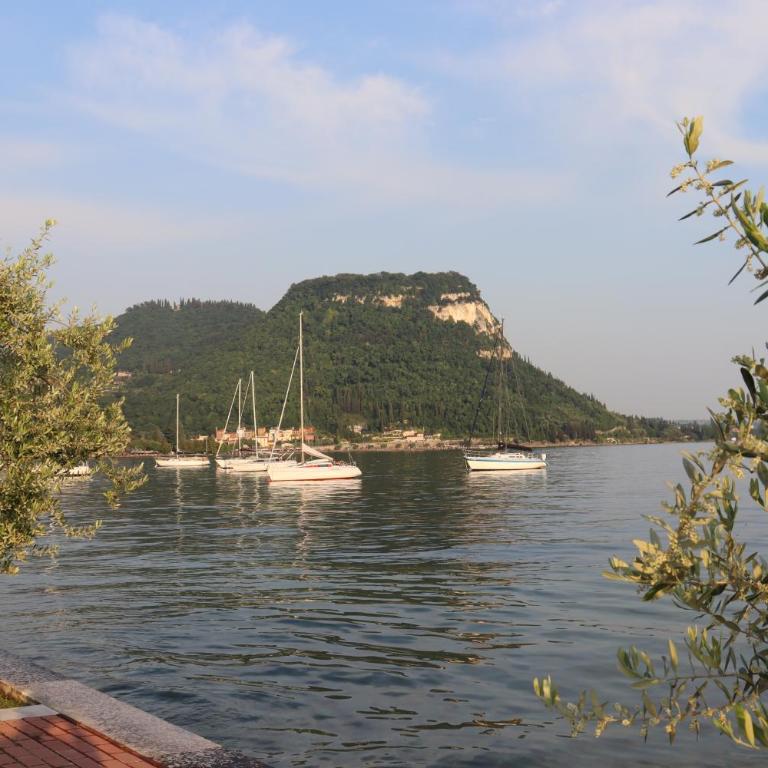 Monika Holiday 619 Green Garda Lake - Appartamento con 1 Camera da Letto - 86