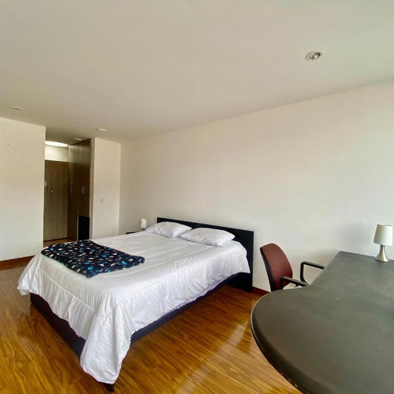 Luxury Penthouse with Andes View - Apartamento - 13