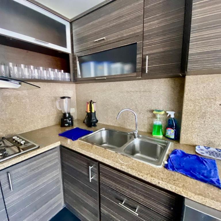 Luxury Penthouse with Andes View - Apartamento - 25