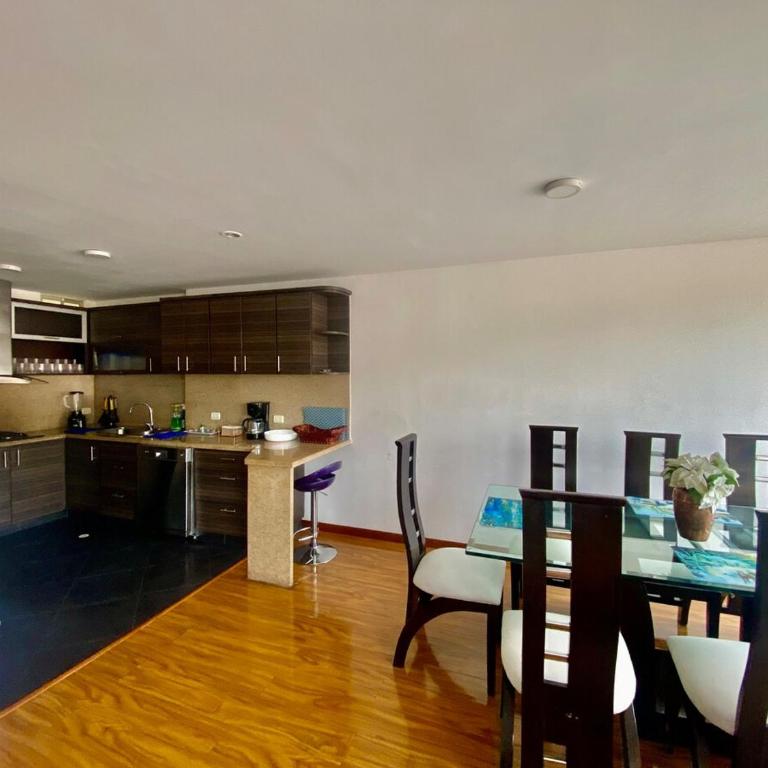 Luxury Penthouse with Andes View - Apartamento - 47