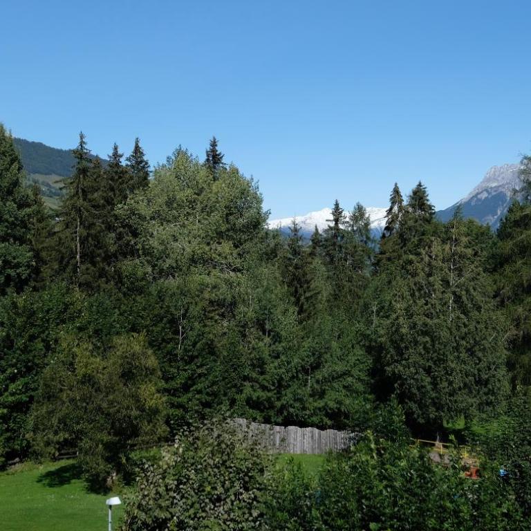 Charming Studio - Ferienwohnung - Vulpera, Scuol - Apartment mit 1 Schlafzimmer - 20