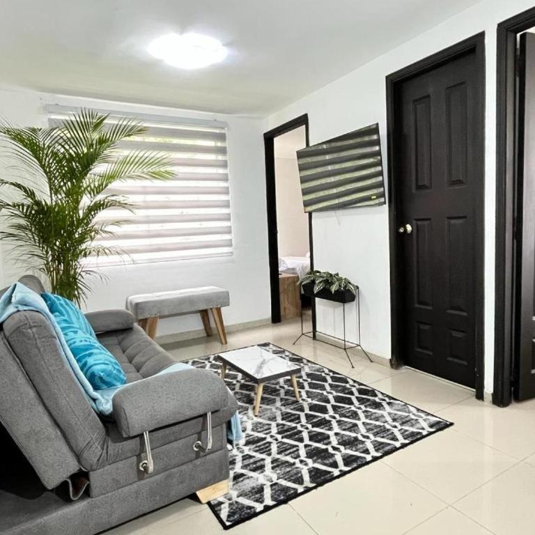 Apartamento confortable y tranquilo - Apartamento de 2 dormitorios - 1